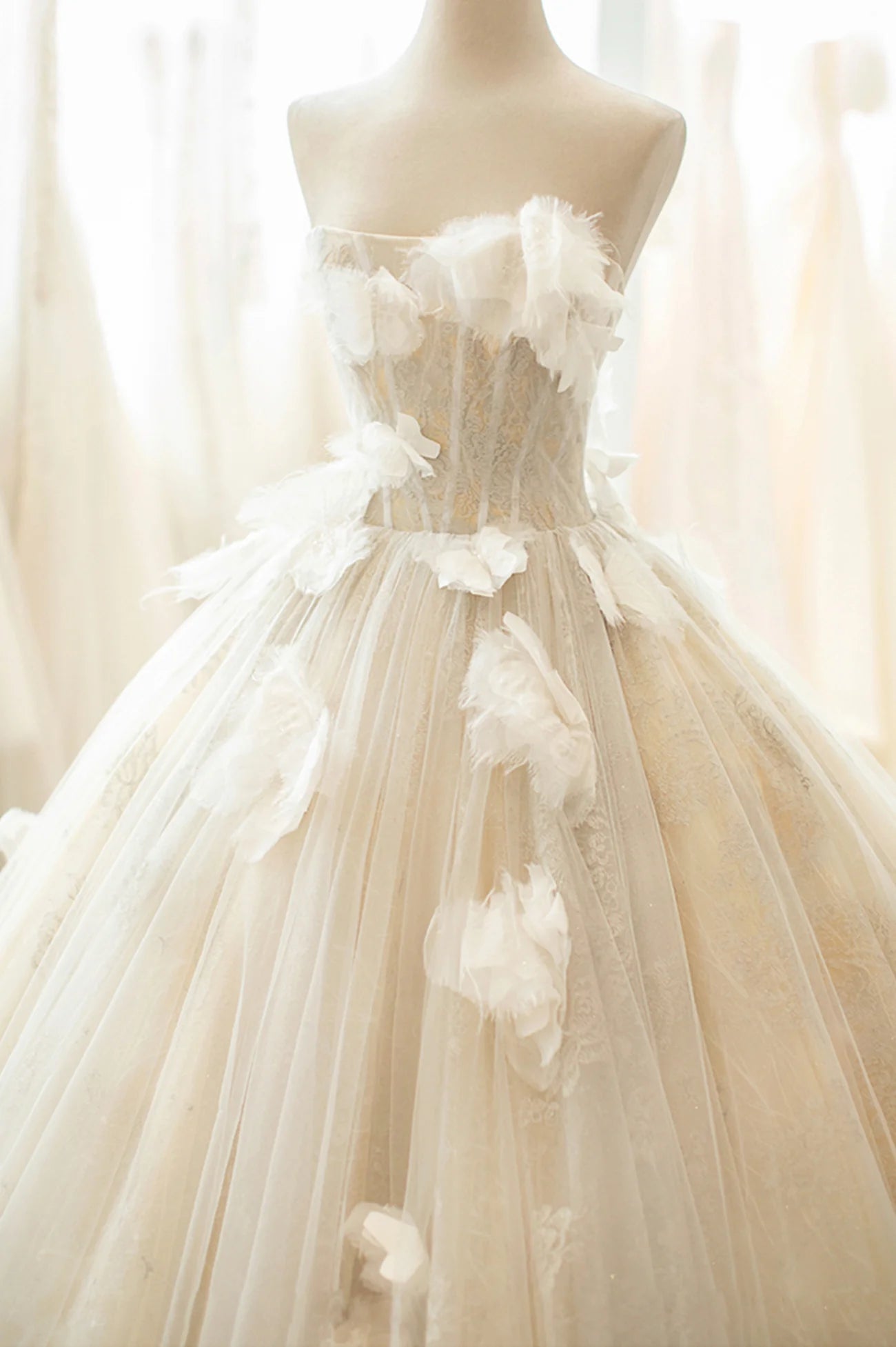 A-Line Champagne Tulle Lace Long Formal Dress Evening Gown Wedding Dress