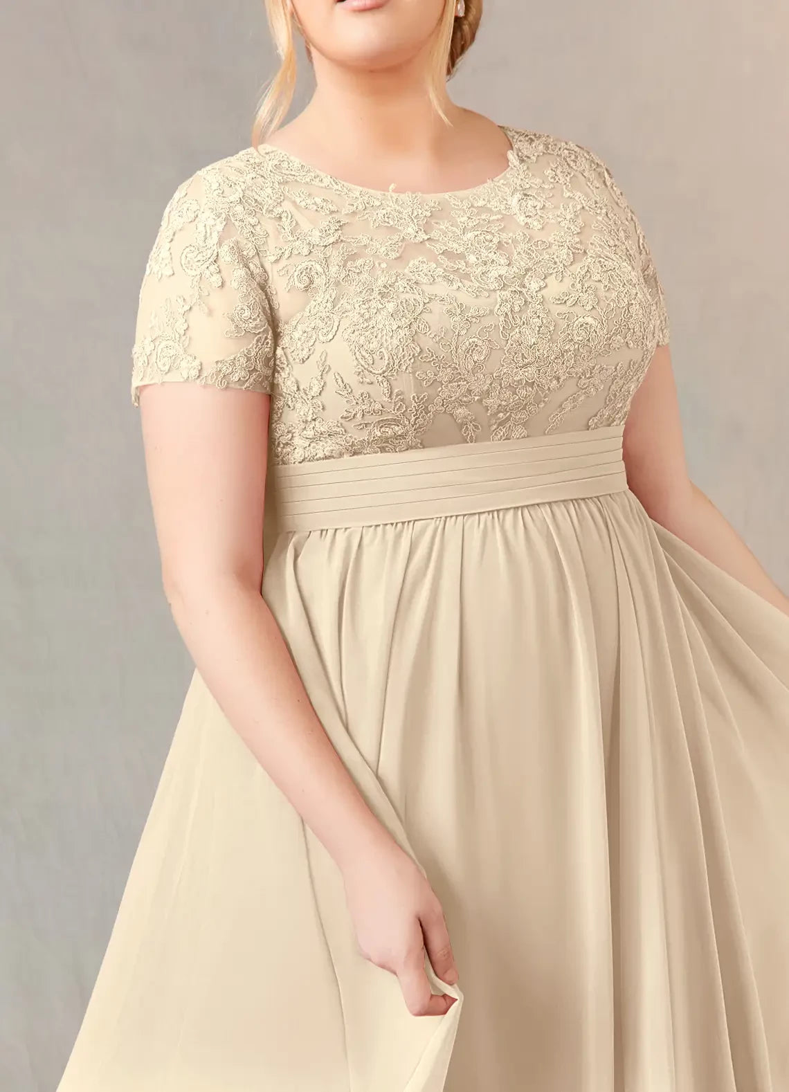 Elegant A Line Crew Neck Lace Short Sleeve Zip Back Plus Size Floor Length Mother of the Bride Dress