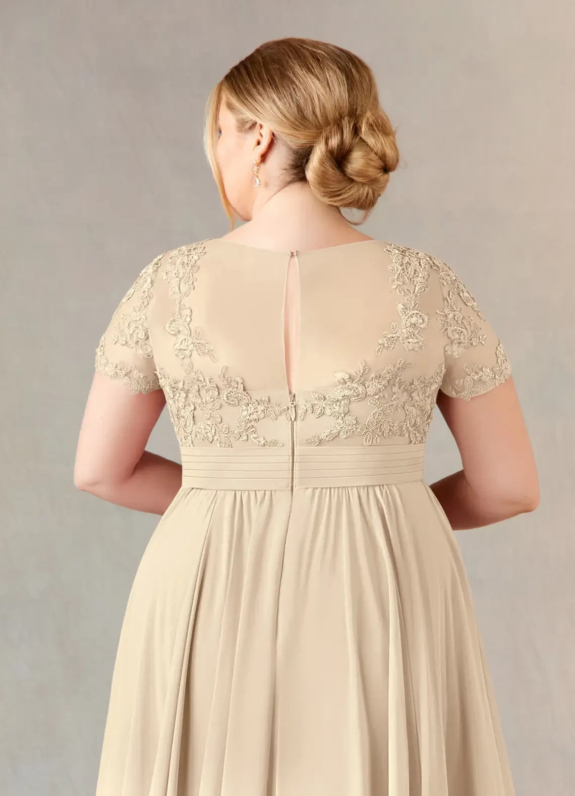 Elegant A Line Crew Neck Lace Short Sleeve Zip Back Plus Size Floor Length Mother of the Bride Dress