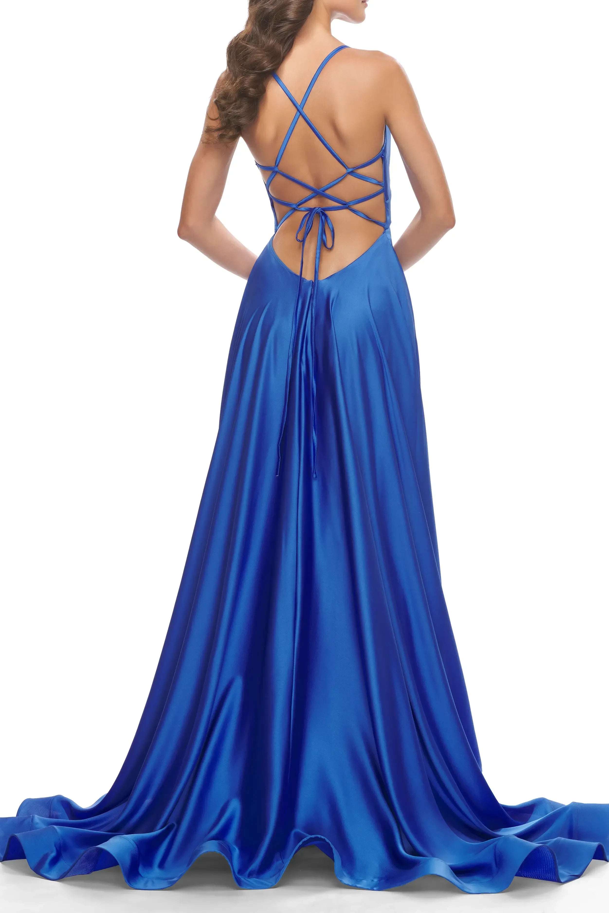 Gorgeous A Line Plunge Neck Sleeveless Lace Up Back Floor Length Evening Dress